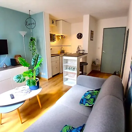 Appartement Cosy Au Coeur De Nimes. *
